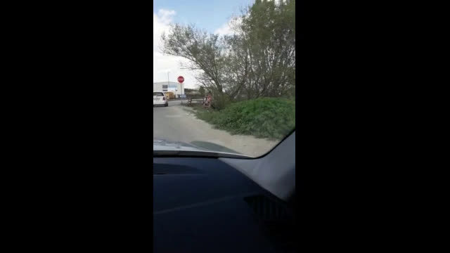 "Моята новина": Моста на Марково