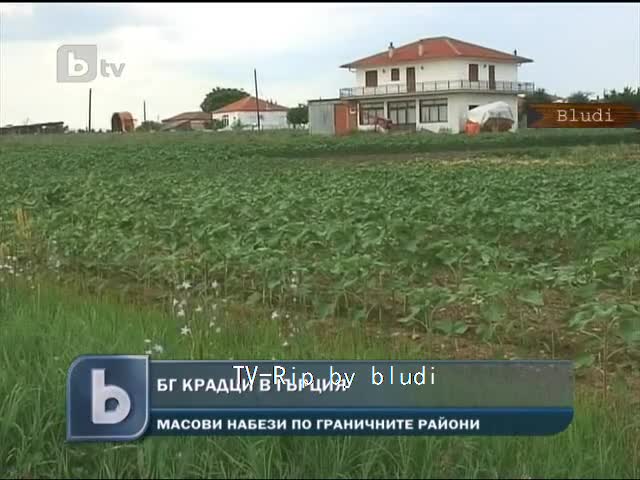 Наши цигани нападнаха Гърция с кражбите си