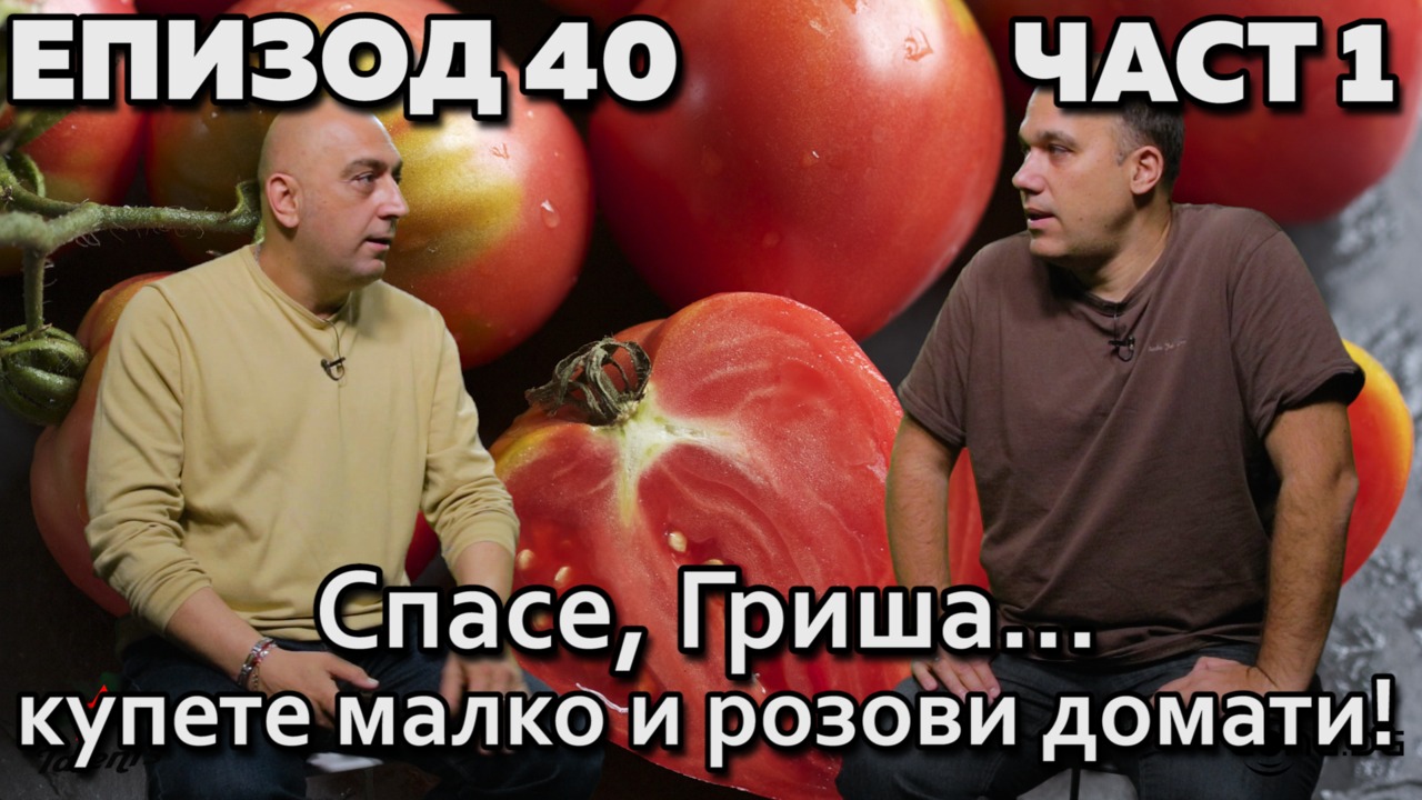 Спасе, Гриша – купете малко и розови домати!