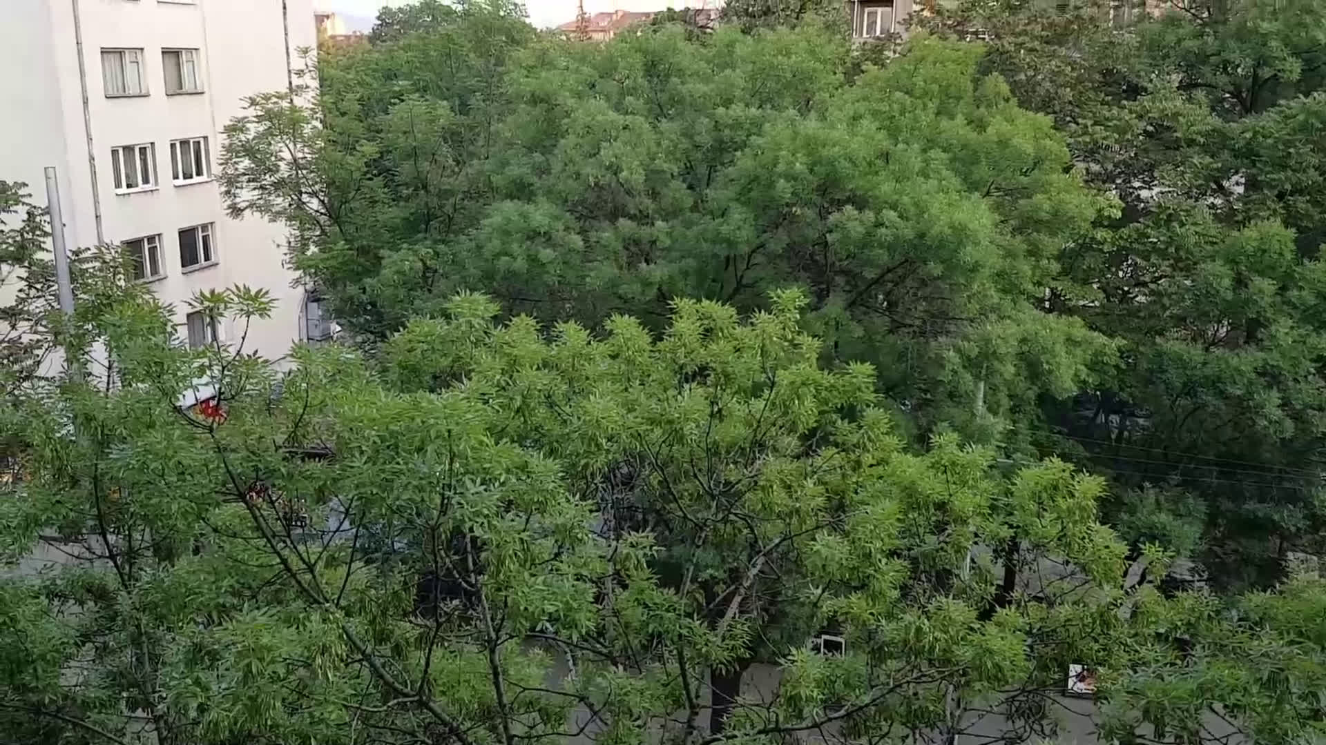 "Приятно-висока музика"
