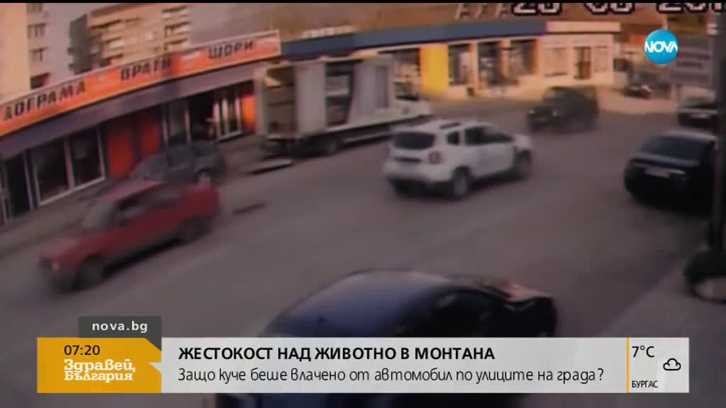 ЖЕСТОКОСТ: Куче беше влачено от автомобил по улиците на Монтана
