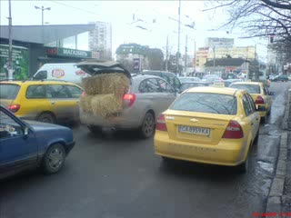 Стоян Иванов - Змия