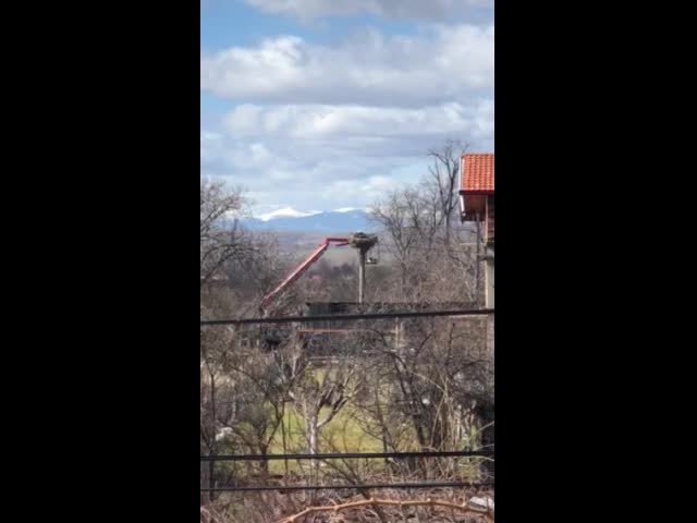 Унищожаване на щъркелови гнезда от ЧЕЗ