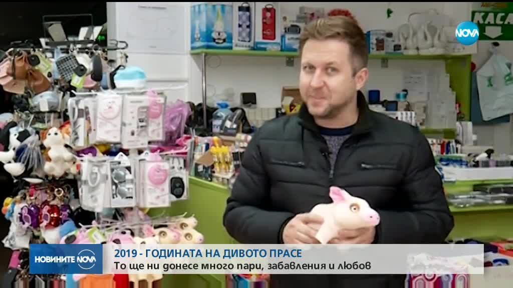 2019 - годината на дивото прасе