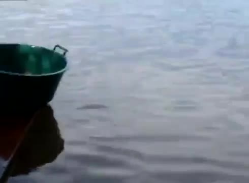 Момиче показва много щур и бърз начин риболов на пирани