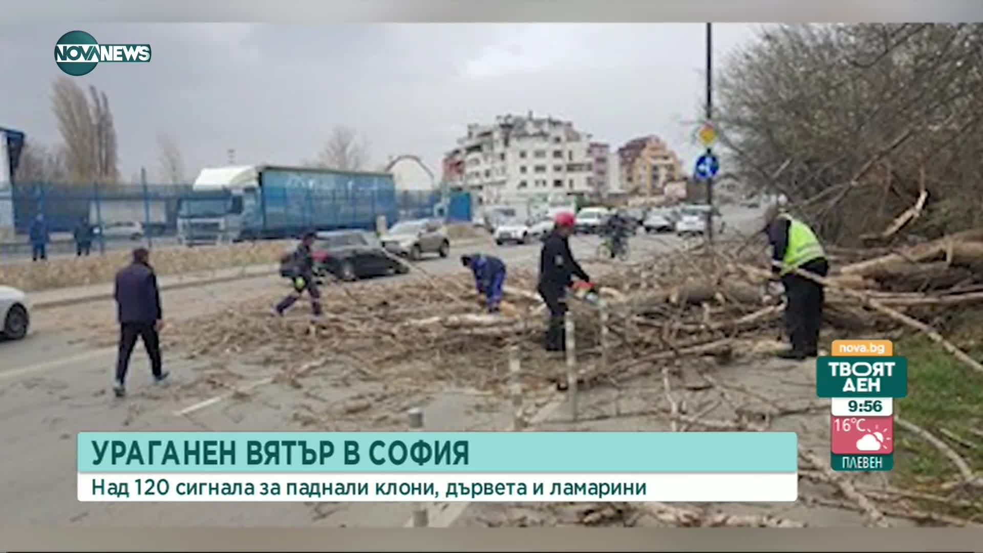 Ураганен вятър в София: Над 120 сигнала за паднали клони, дървета и ламарини