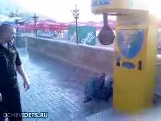Да е тъп , да е тъп , колко да е тъп ?