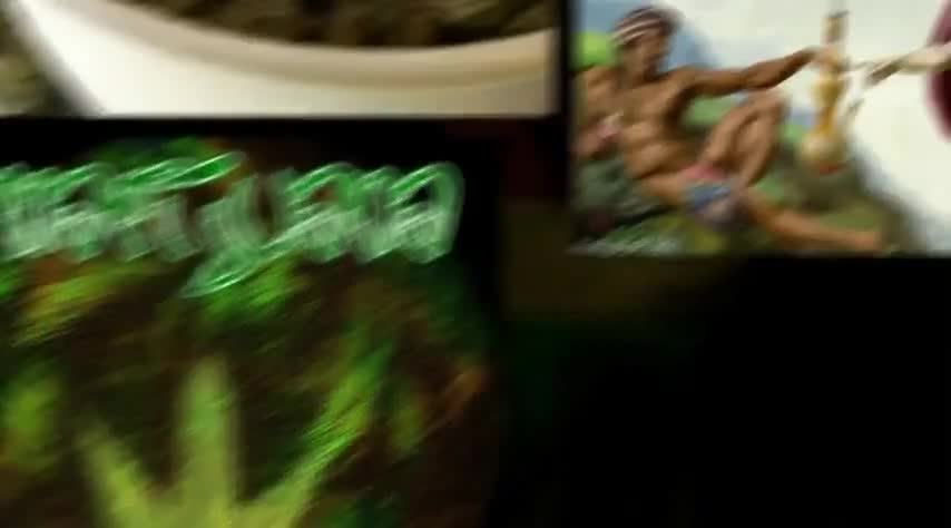 Превод! 2pac - Smoke weed all day