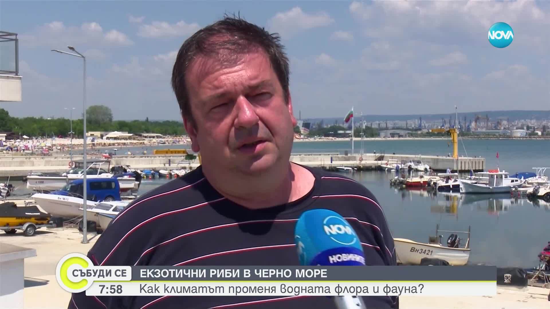 Нови морски видове в Черно море