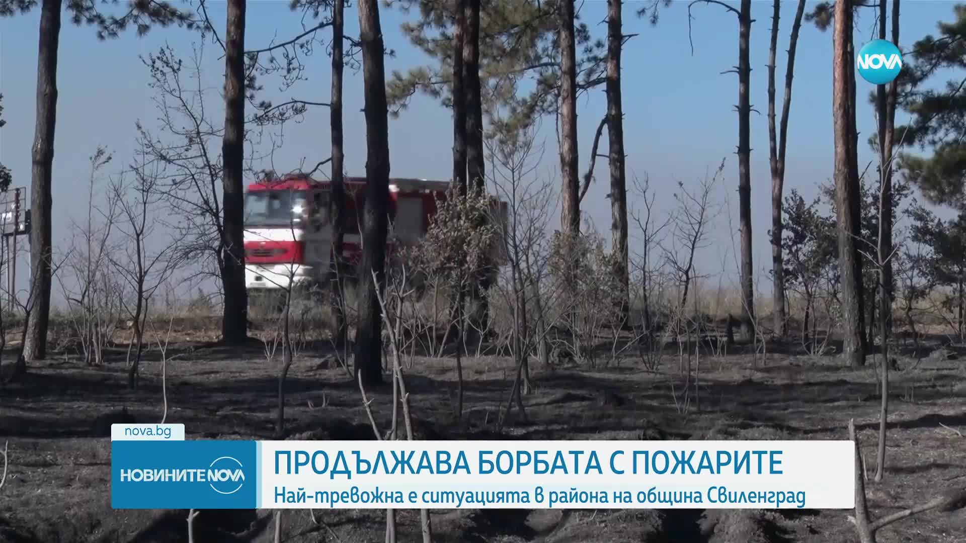 В плен на пожарите: Десетки хиляди декари изпепелени земи у нас (ОБЗОР)