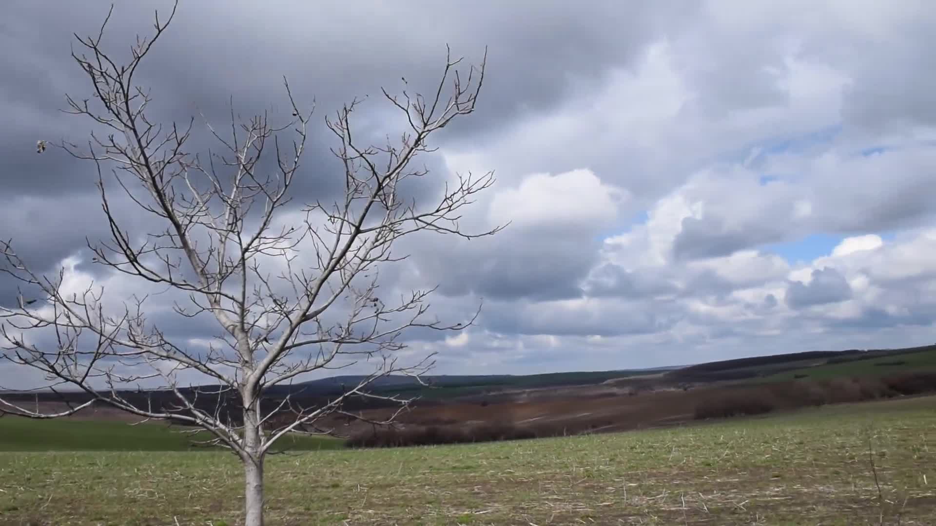 Капризната Марта - мръщи се и се усмихва!