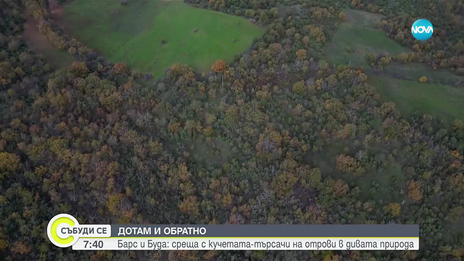 „Дотам и обратно”: Среща с кучетата, които спасяват защитени птици