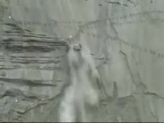 Невероятно, Но Реално