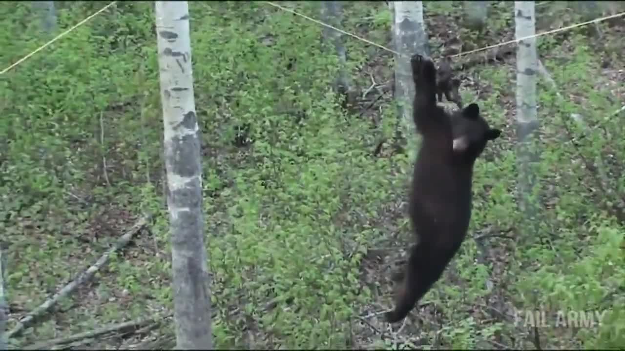 Компилация Провали Много Смях !