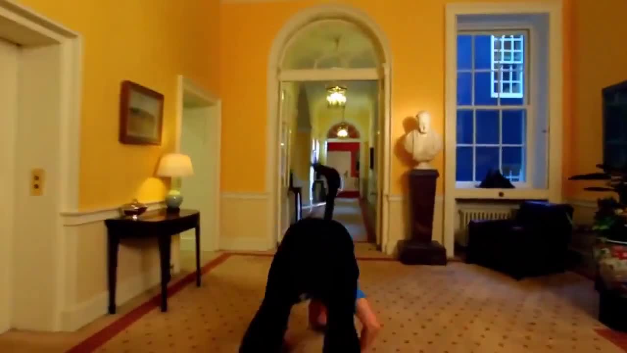 Най - добрите движения за 2011 година
