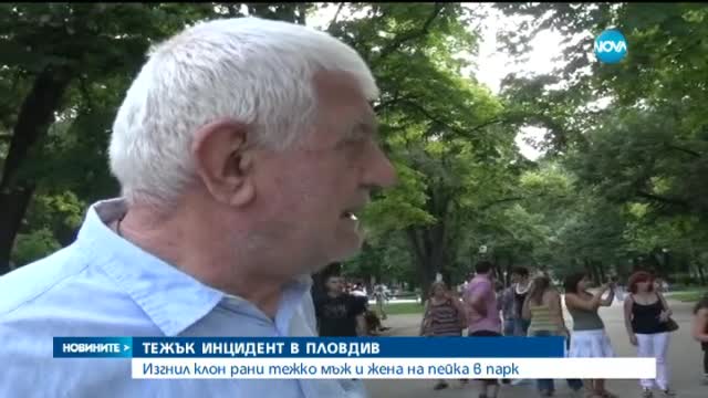 Паднал клон рани мъж и жена в Пловдив