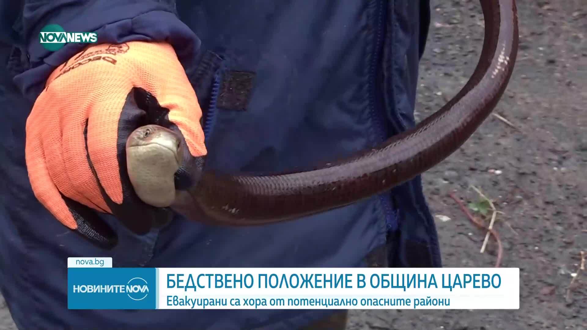 Трима загинали след наводнението в "Елените"