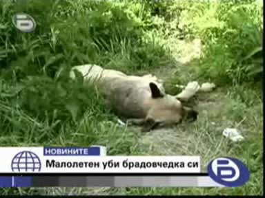 18 брутално! 13 Годишно дете убива братовчедка си Не е за хора със слаби сърца
