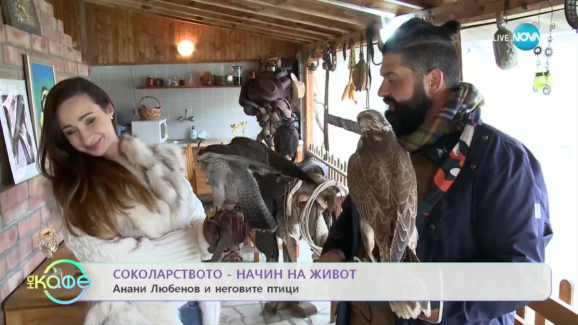 Соколарството като начин на живот - „На кафе” (01.03.2023)