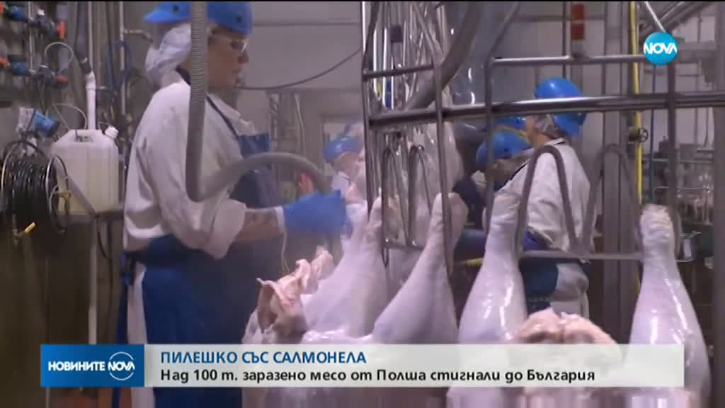 Над 100 тона пилешко със салмонела са дошли на българския пазар