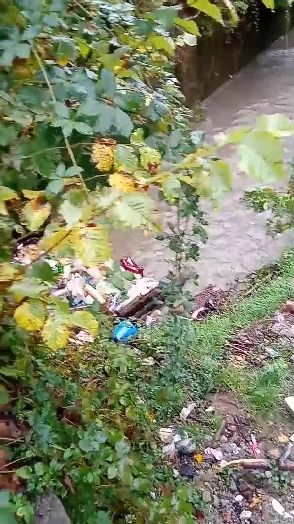 От "Моята новина": Замърсяване на реки