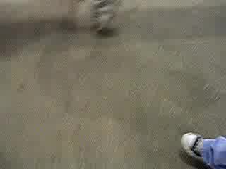 Да Изпревариш Влак