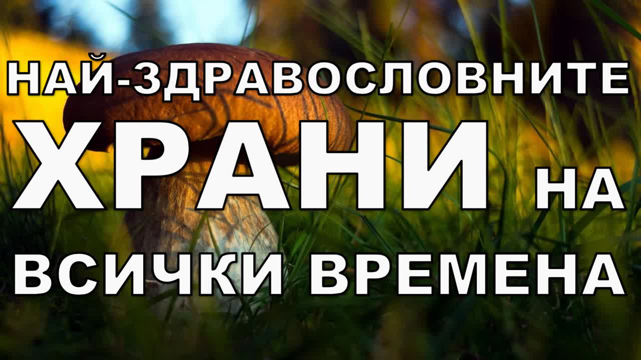 Топ 5 на най-здравословните храни за всички времена