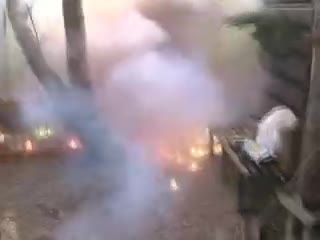 слънце с много пиратки 