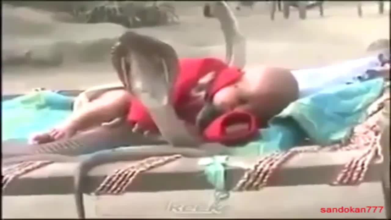 Бебе спи при четири кобри
