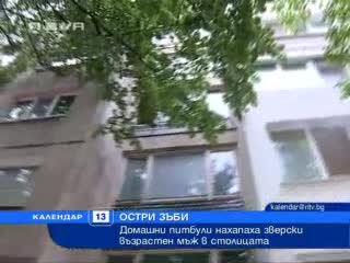 Три питбула нахапаха човек