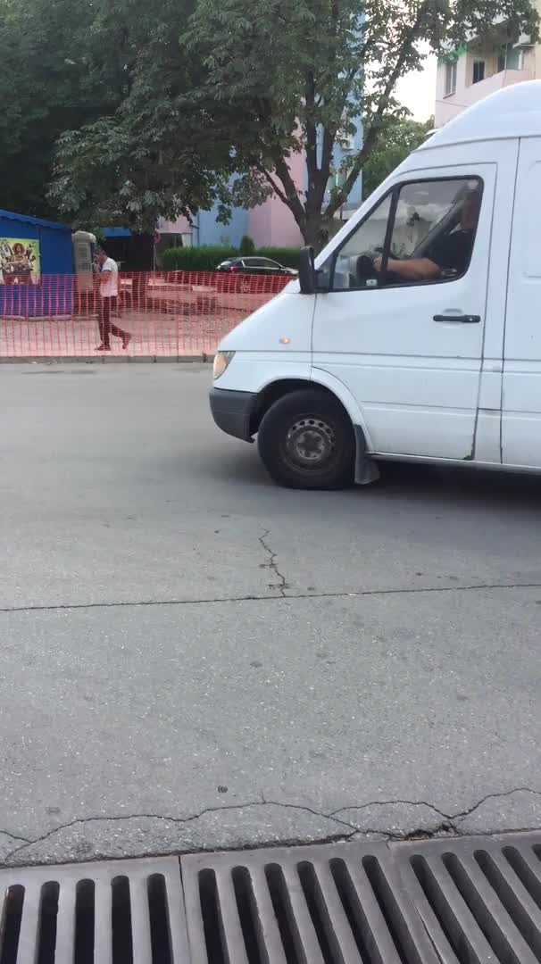 Щъркел в града