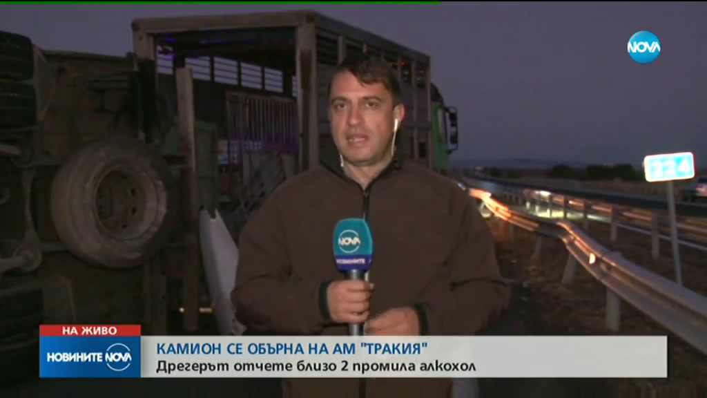 Камион с прасета се обърна на АМ „Тракия"