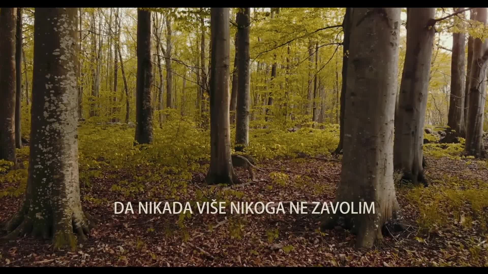 Sergej Cetkovic - 2018 - Ako te nije pronasla ljubav (hq) (bg sub)