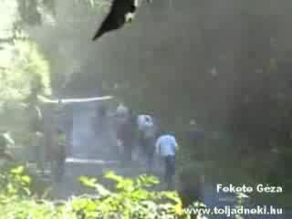 Рали Катастрофа 34