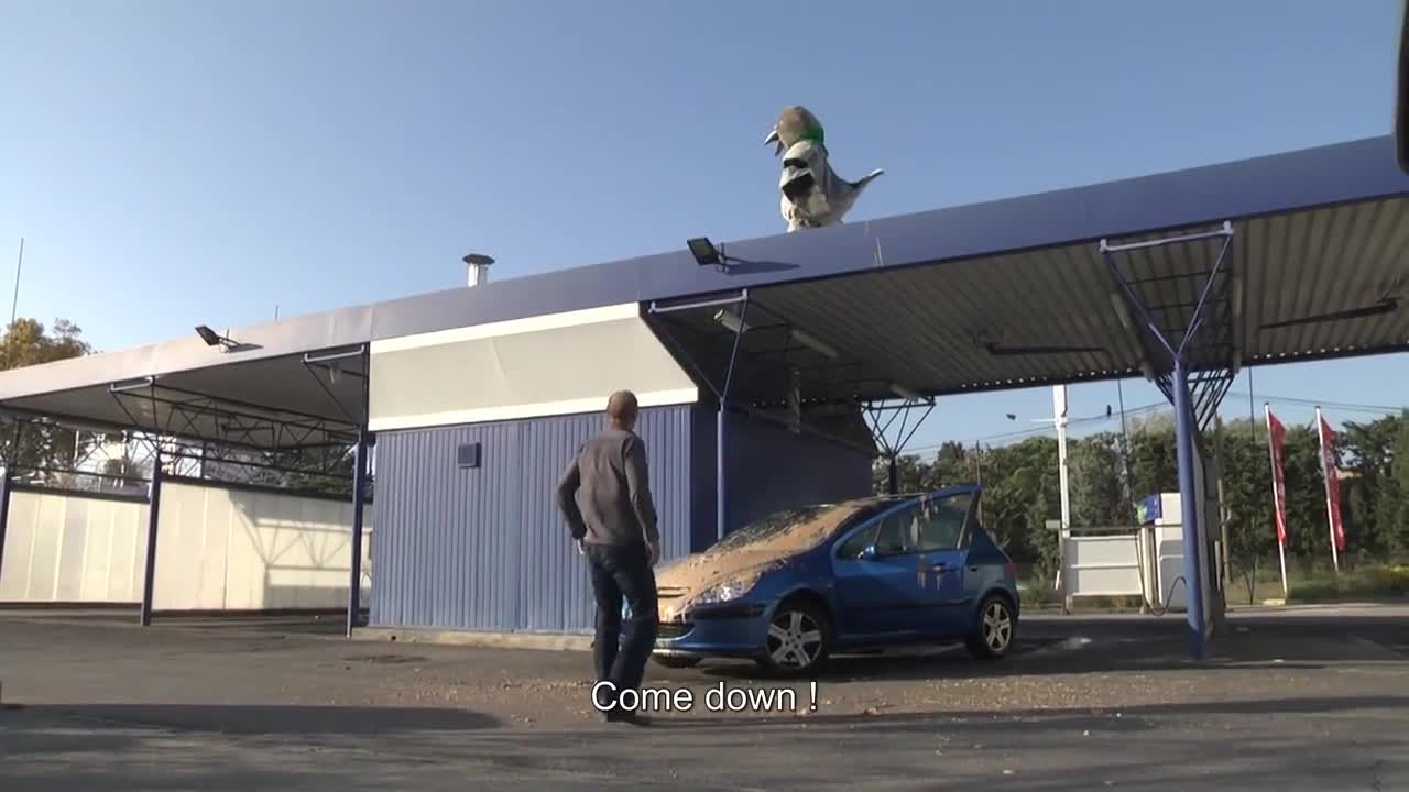 >Гълъба Remi Gaillard отново смях...