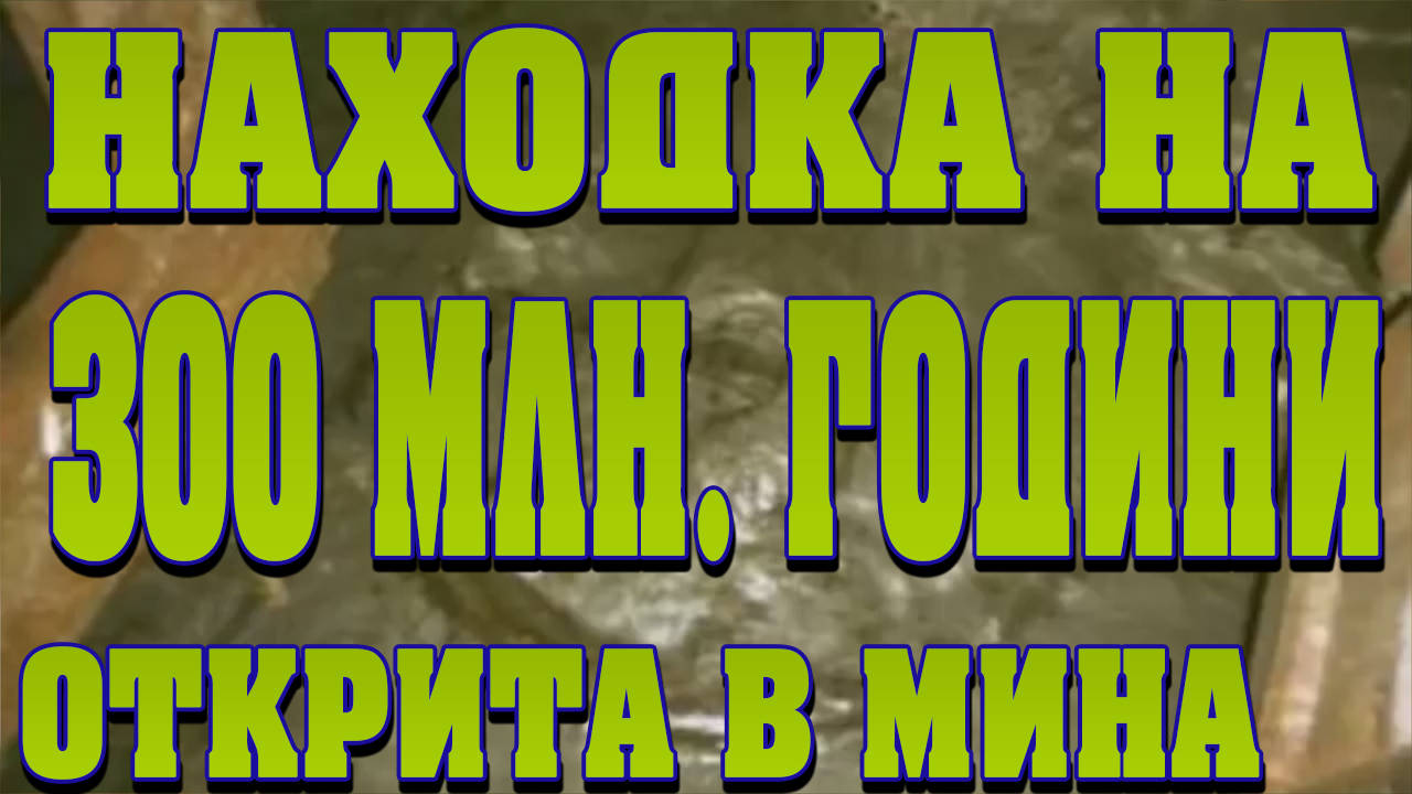 Древно колело на 300 млн. години открито в мина