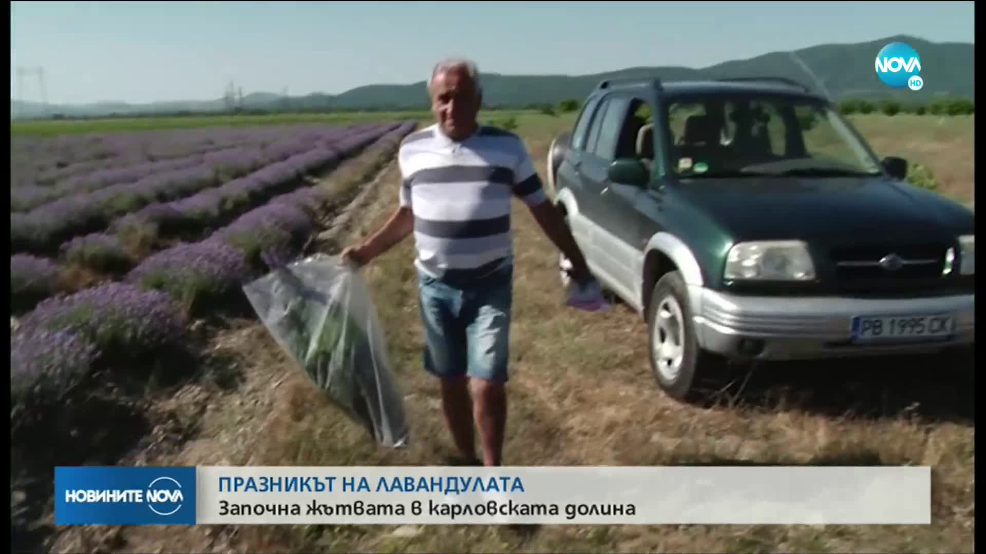Празник на лавандулата в Карлово (ВИДЕО)