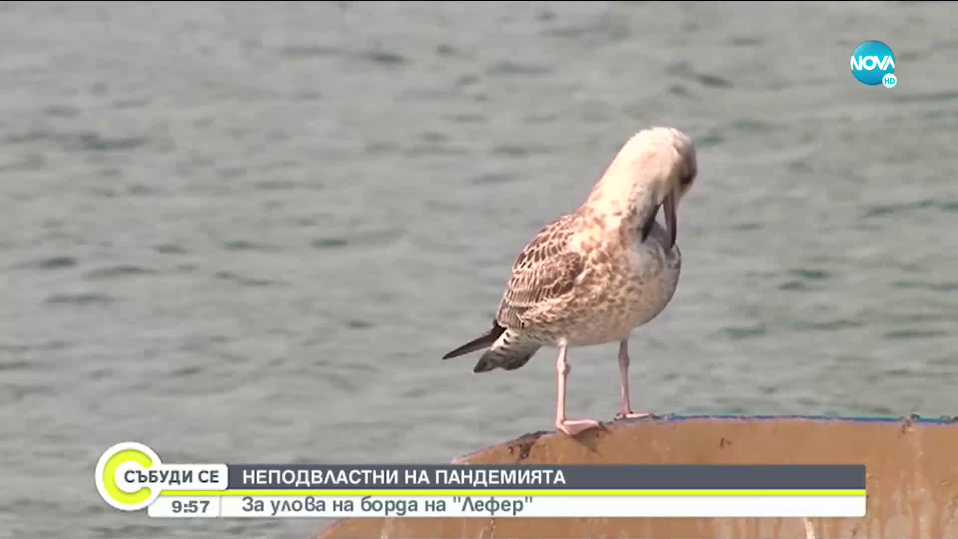 НЕПОДВЛАСТНИ НА ПАНДЕМИЯТА: За улова на борда на "Лефер"