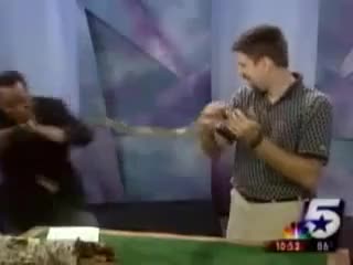 змия но с лош край ( смях ) !!!