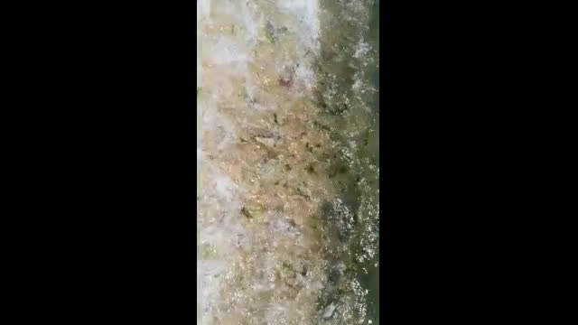 Мръсно море