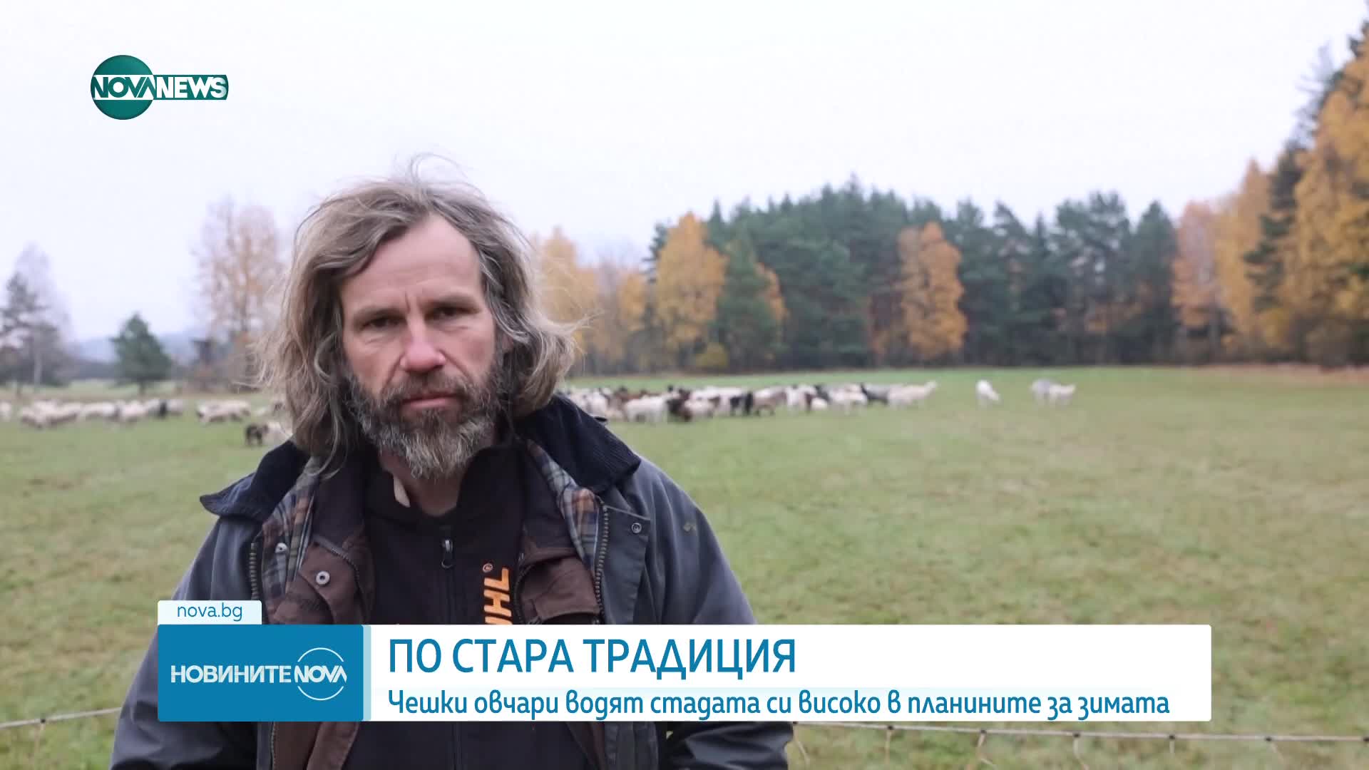 По стара традиция: Чешки овчари водят стадата си високо в планините за зимата
