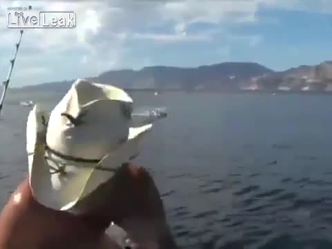 Това не се вижда всеки ден !