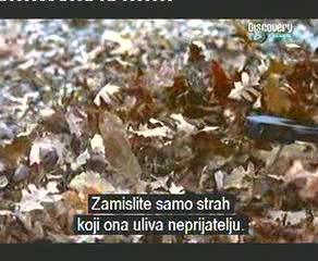 Оръжия На Бъдещето