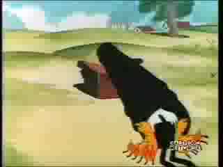 Wanna Bomb Osama Bin Laden Comedy Parody