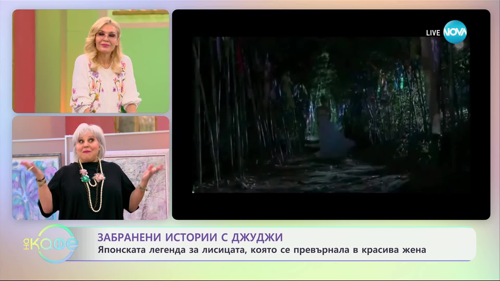 Забранени истории с Джуджи - Сесшо-секи или мистерията на камъка, който убива - „На кафе“ (23.01.2025)