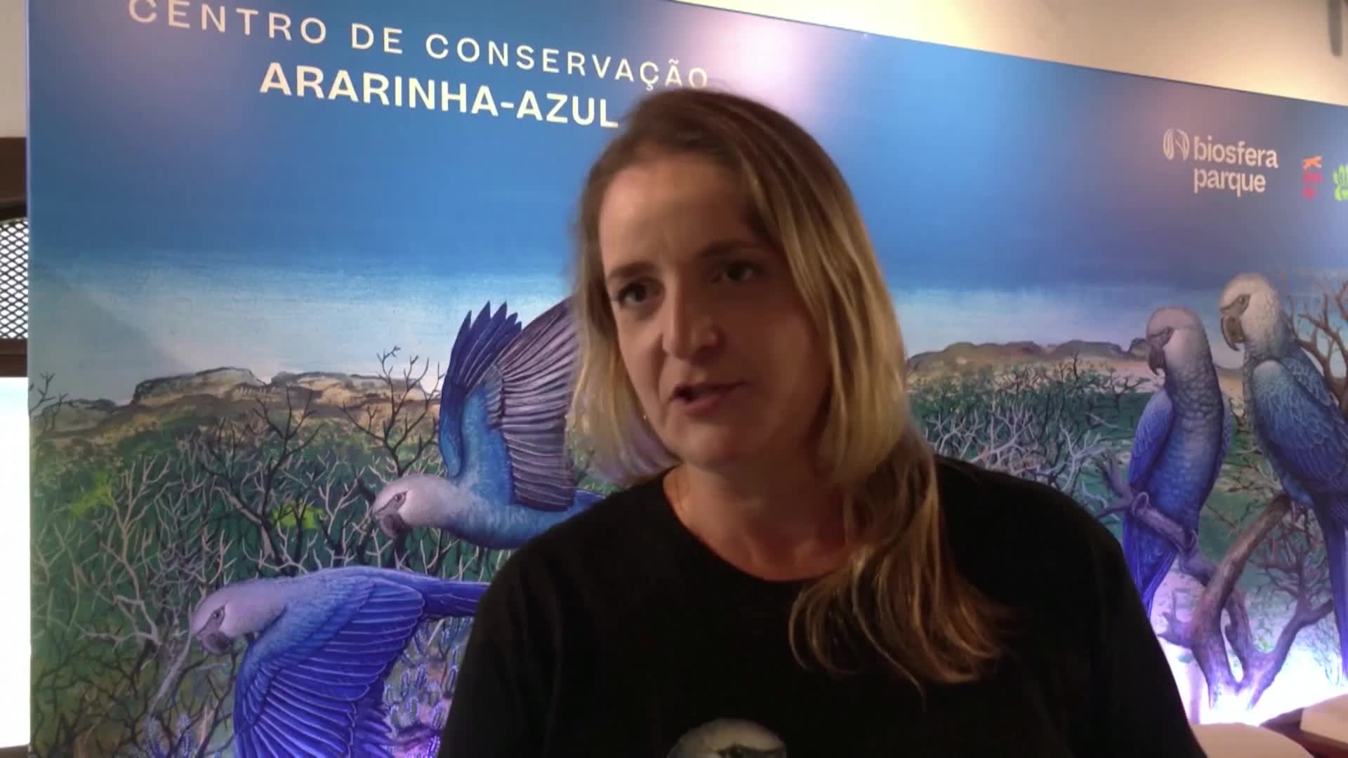 Зоопаркът в Сао Пауло приюти критично застрашен вид папагали (ВИДЕО)