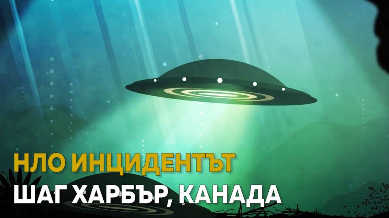 Инцидентът с катастрофиралото НЛО край Шаг Харбър