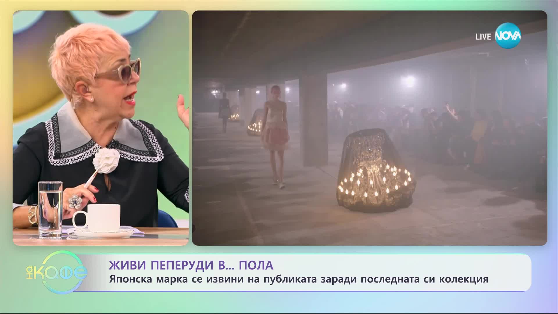 „Терариум поли”: Дизайнер използва живи пеперуди по време на ревю