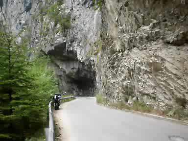 Тдм България