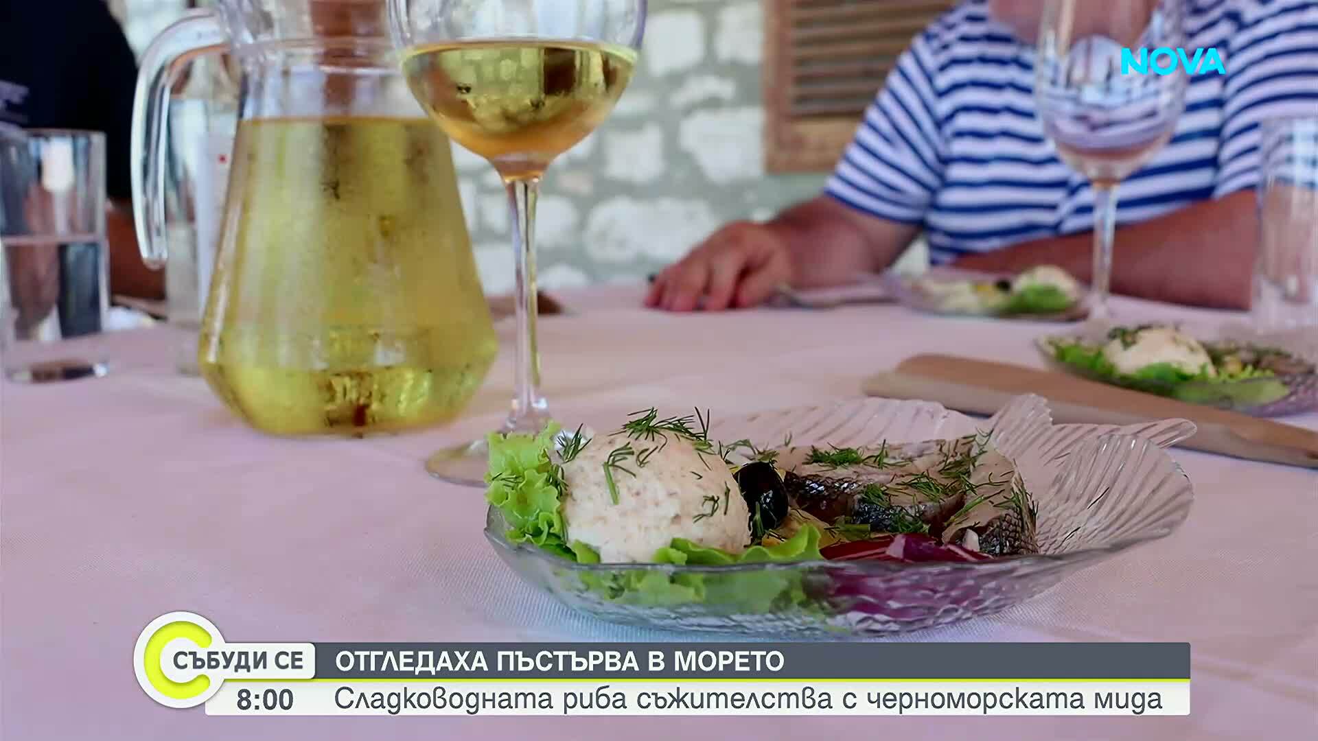 За първи път у нас: Отгледаха пъстърва в Черно море, рибата съжителства с миди край Каварна